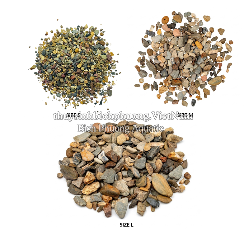 SẠN SUỐI 7 MÀU - SEVEN-COLOR STREAM GRAVEL