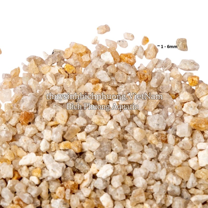 SỎI TRẮNG KIM SA - WHITE QUARTZ SAND