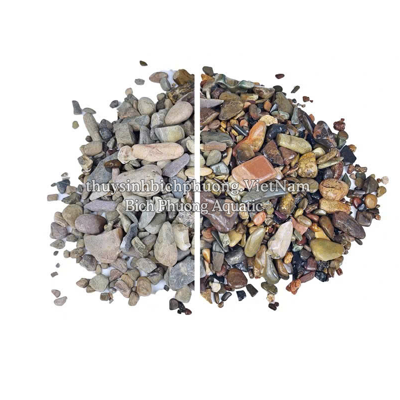 SẠN SUỐI 7 MÀU - SEVEN-COLOR STREAM GRAVEL