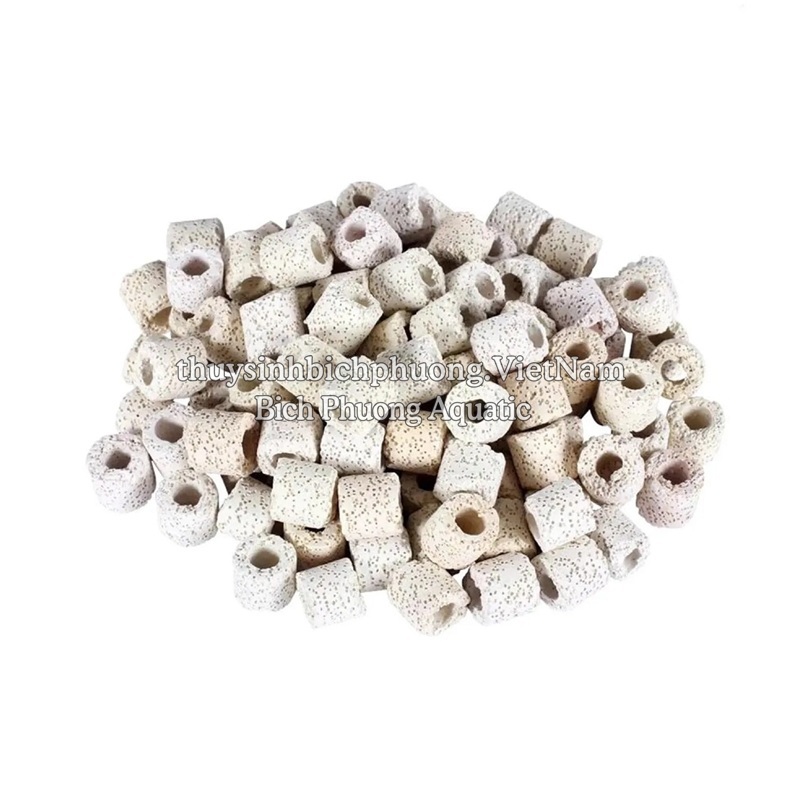 SỨ NHẪN TRẮNG LỖ - VẬT LIỆU LỌC XỬ LÝ NƯỚC