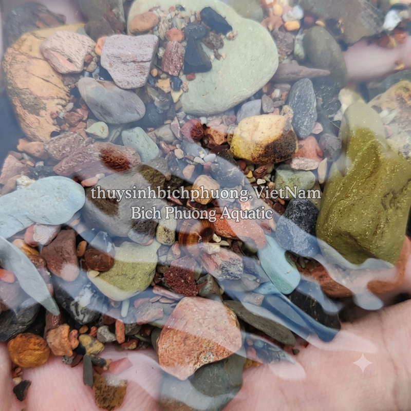 SẠN SUỐI 7 MÀU - SEVEN-COLOR STREAM GRAVEL