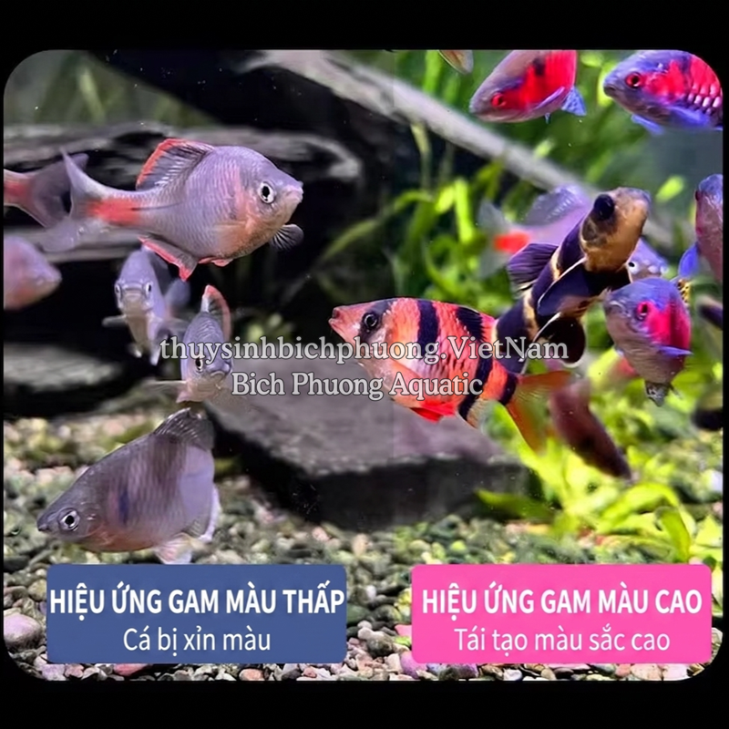 ĐÈN UFO LANGZU 90W WRGB (APP)