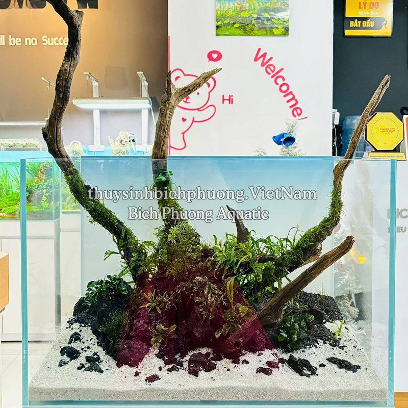 ĐÁ ĐEN GIA LAI – ĐÁ TRANG TRÍ HỒ CÁ THỦY SINH, LÓT NỀN, DECOR