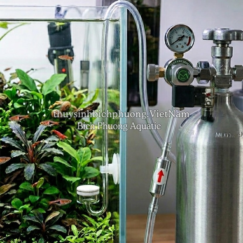 VAN MỘT CHIỀU CO2 INOX TAIWAN