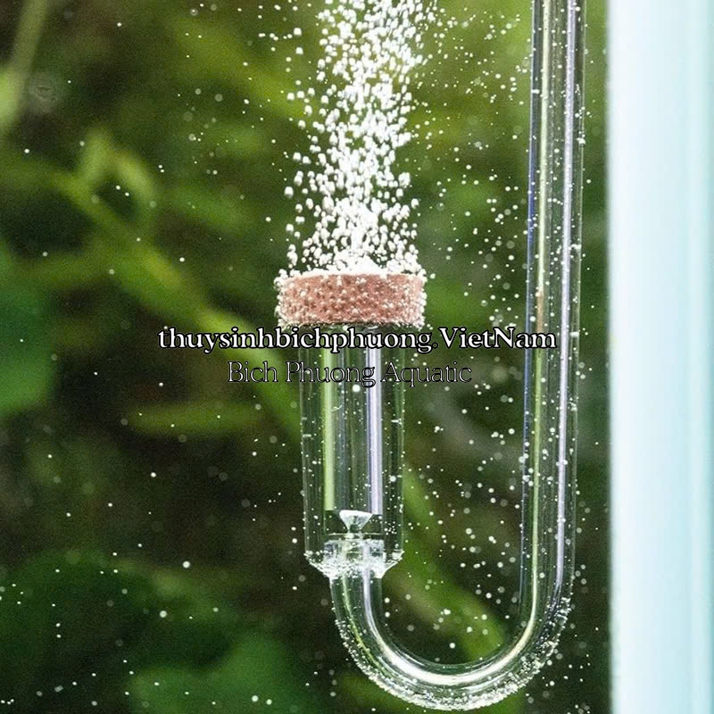 AQUARIO NEO DIFFUSER ORIGINAL EXTEND - CỐC SỦI CO2 SIÊU MỊN