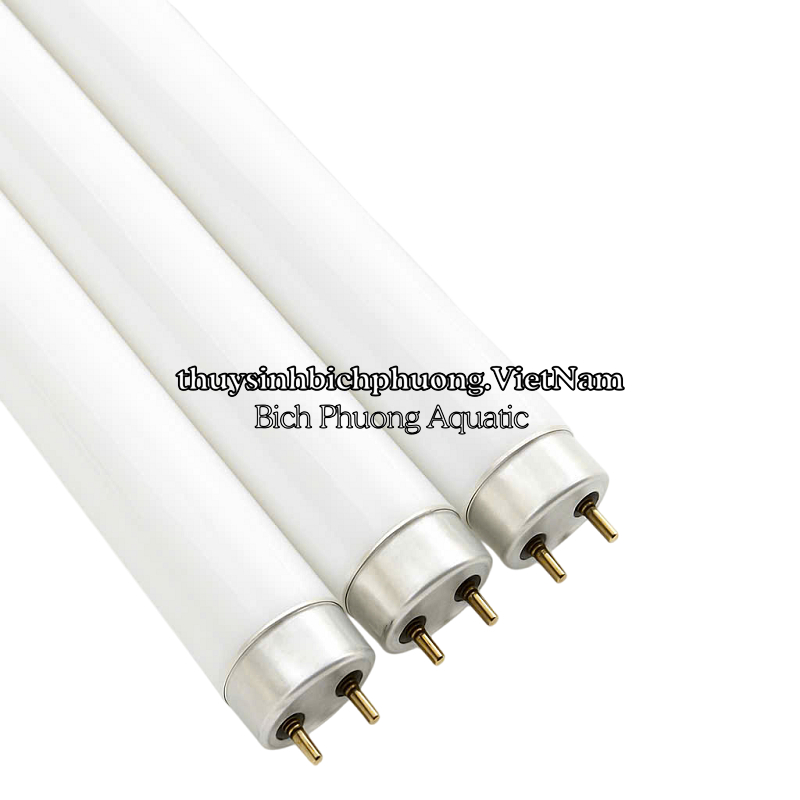 BÓNG ĐÈN JEBO T8HO 10000K – BÓNG THAY THẾ CHÍNH HÃNG CHO MÁNG ĐÈN JEBO