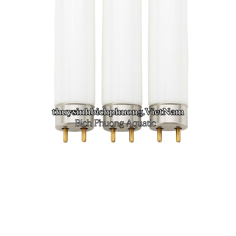 BÓNG ĐÈN JEBO T8HO 10000K – BÓNG THAY THẾ CHÍNH HÃNG CHO MÁNG ĐÈN JEBO