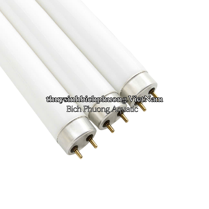 BÓNG ĐÈN JEBO T8HO 10000K – BÓNG THAY THẾ CHÍNH HÃNG CHO MÁNG ĐÈN JEBO