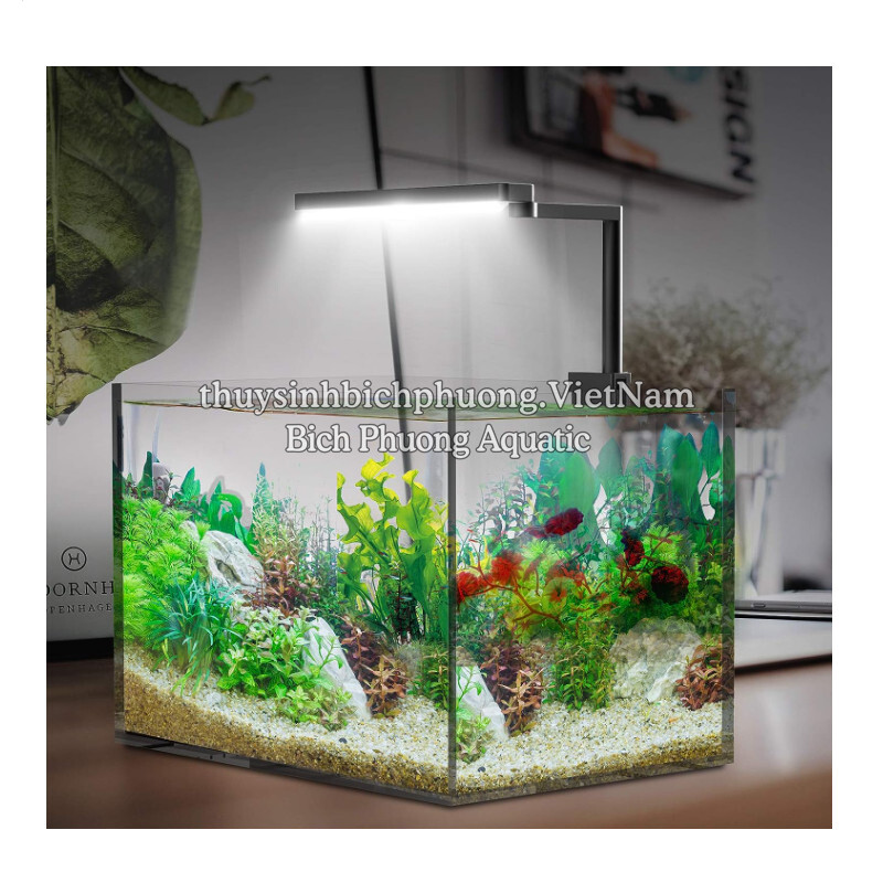 ĐÈN LED CHIHIROS CII/C2 CAO CẤP