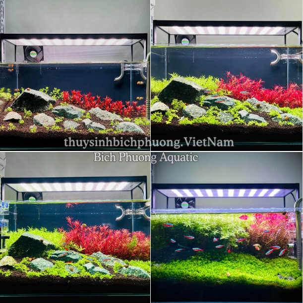 ĐÈN LED NETLEA RGBS 30CM|40CM|60CM|80CM|90CM|120CM | Cửa hàng Thủy Sinh ...