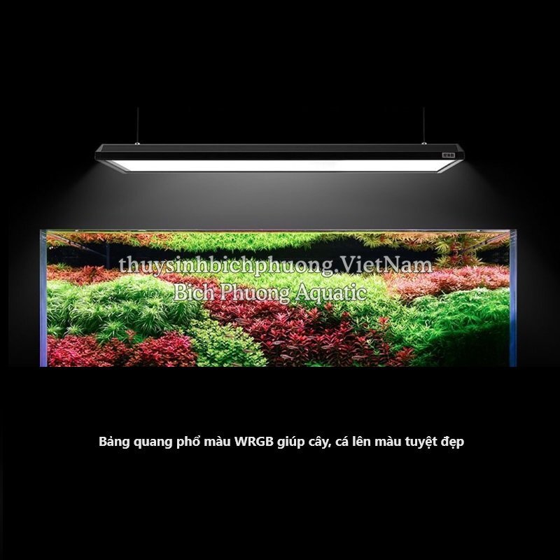 ĐÈN LED NETLEA AT5 PRO P6105 | P6140 CAO CẤP (BẢN NEW ĐIỀU KHIỂN ĐÈN BẰNG GIỌNG NÓI)