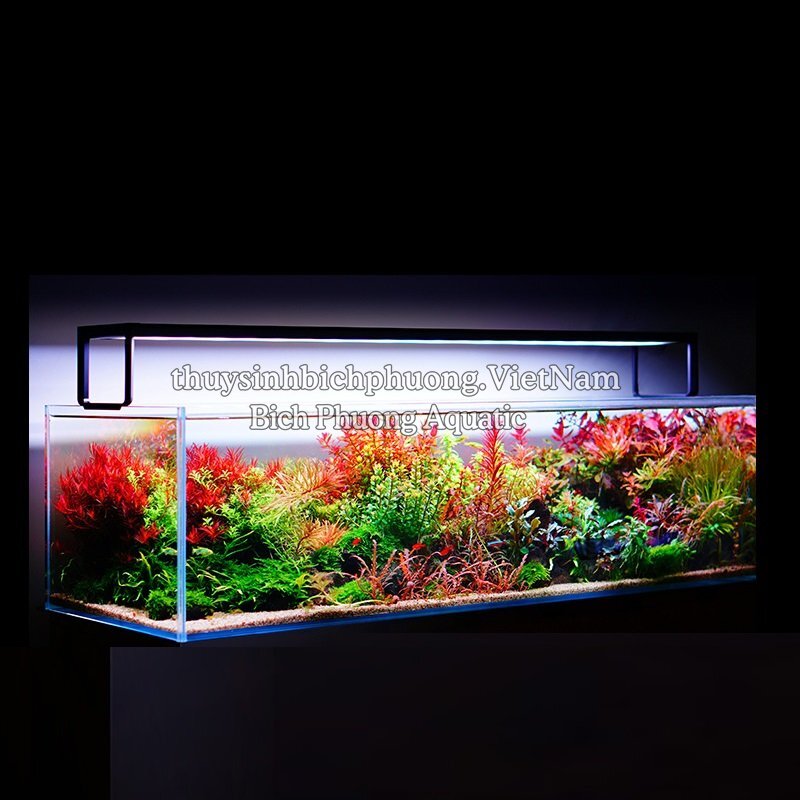 ĐÈN LED NETLEA AT5S VER 2 CÓ GIỌNG NÓI 30CM|40CM|60CM|80CM|90CM|120CM CAO CẤP