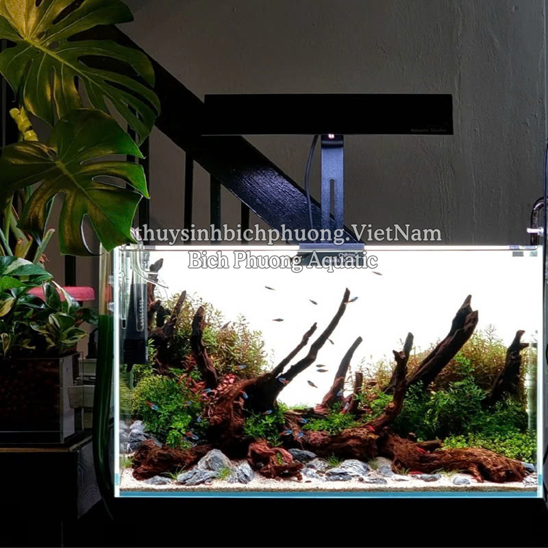 ĐÈN LED CHIHIROS RGB VIVID 2 MINI CAO CẤP