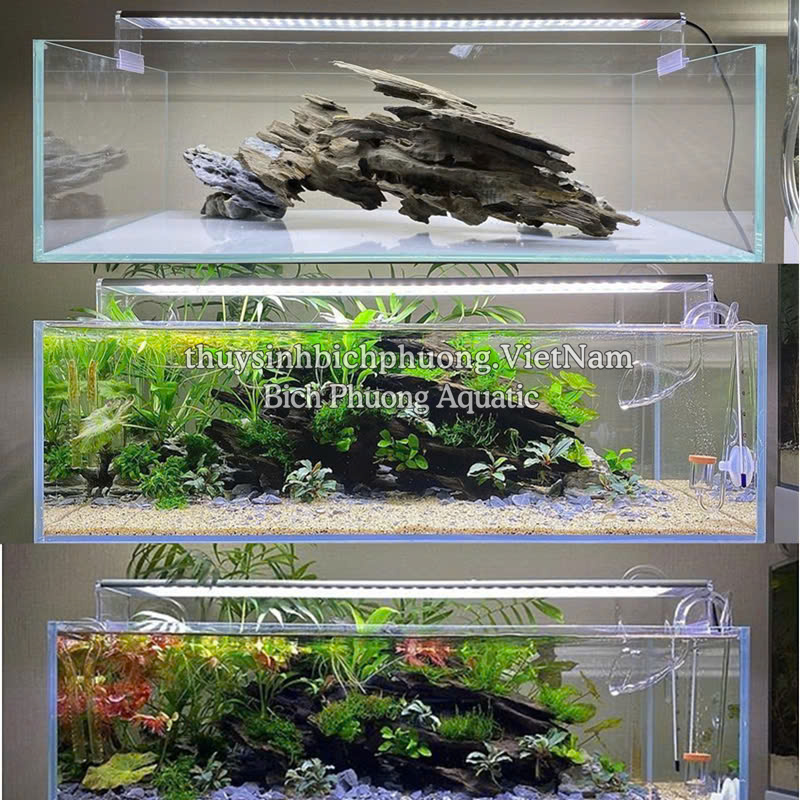 ĐÈN LED CHIHIROS A1 SERIES LED LGHT SIÊU SÁNG