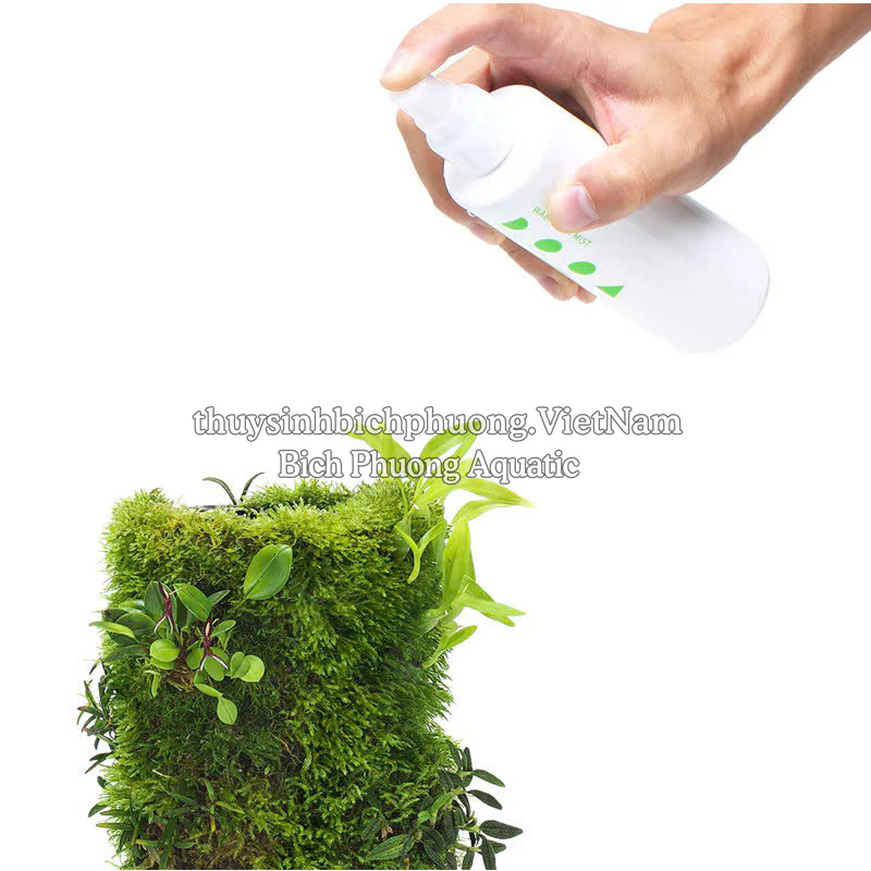 ADA DOOA WABI-KUSA MIST - PHÂN NƯỚC DẠNG XỊT