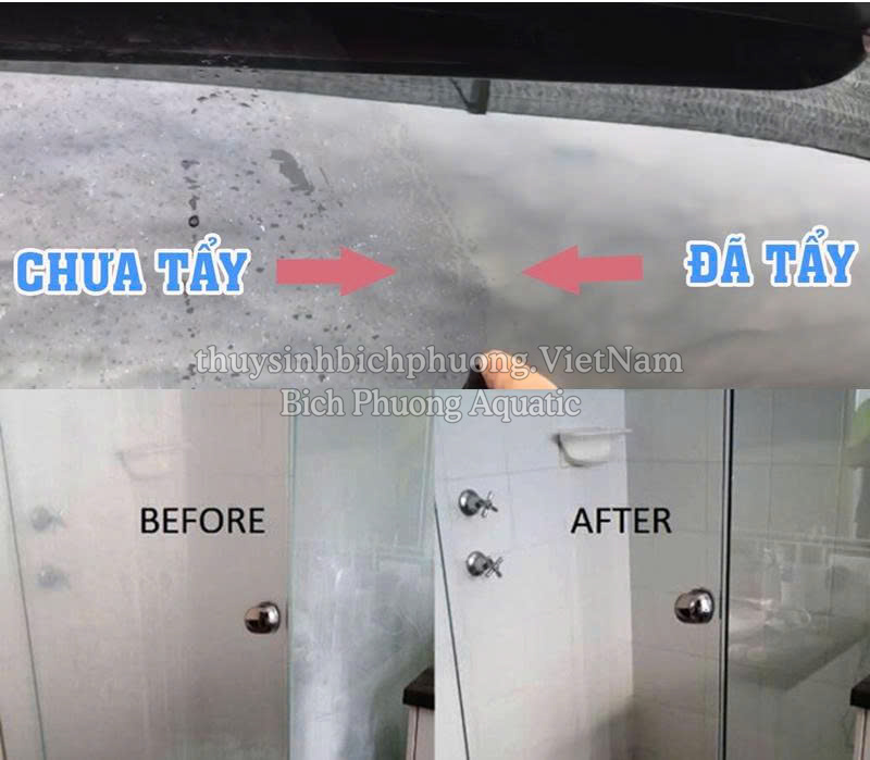 ĐẶC TRỊ MỐC KÍNH, TẨY CẶN CANXI CAXINH