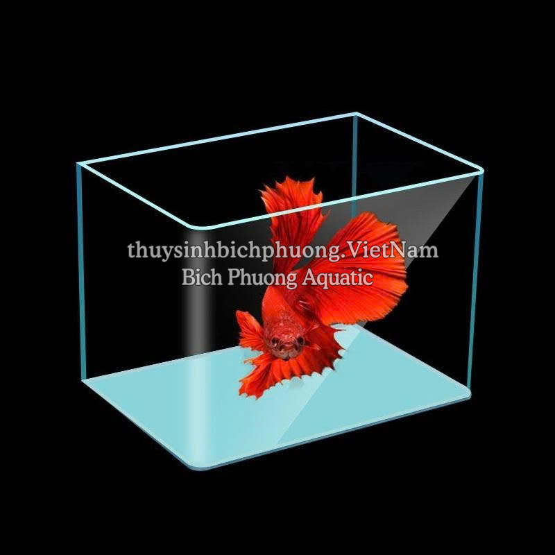 HỒ KÍNH ĐÚC 1 MẶT ĐÀI LOAN