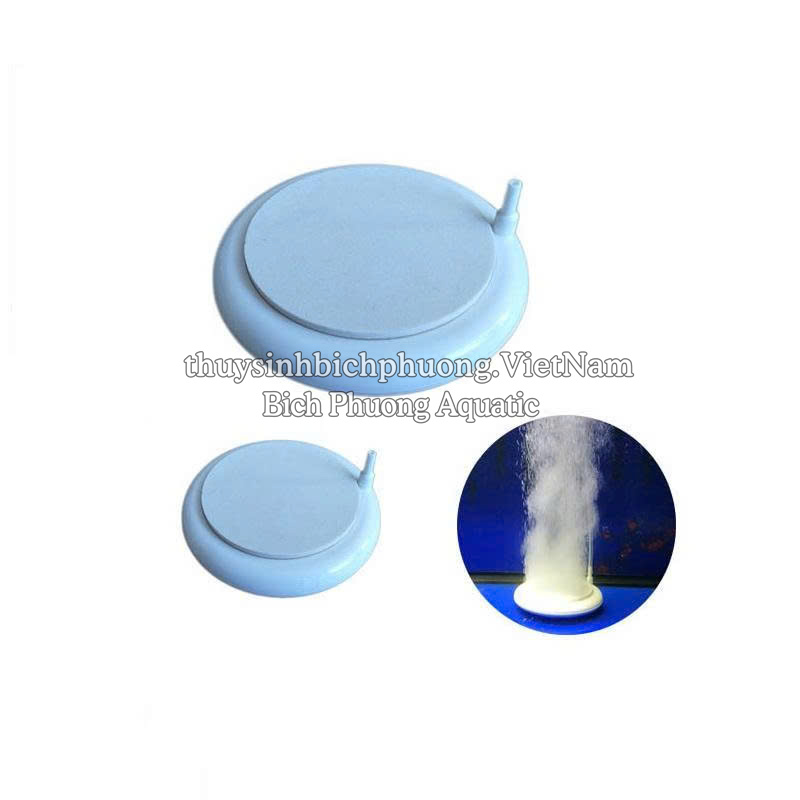 ĐĨA SỦI OXY SIÊU MỊN T50 / T100