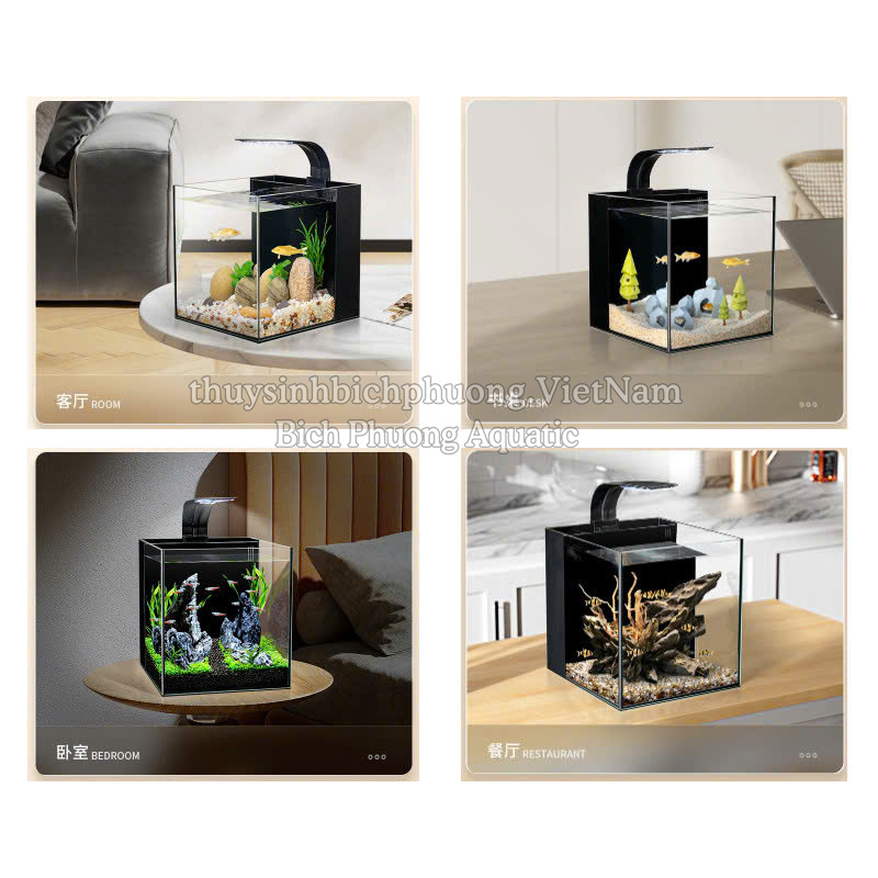 BỘ HỒ KÍNH YEE CÓ LỌC VÁCH SIÊU TRONG ĐỂ BÀN (TẶNG KÈM ĐÈN, VẬT LIỆU LỌC)