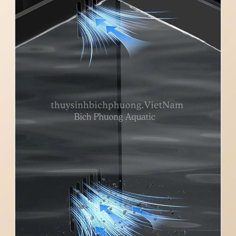 BỘ HỒ KÍNH YEE CÓ LỌC VÁCH SIÊU TRONG ĐỂ BÀN (TẶNG KÈM ĐÈN, VẬT LIỆU LỌC)