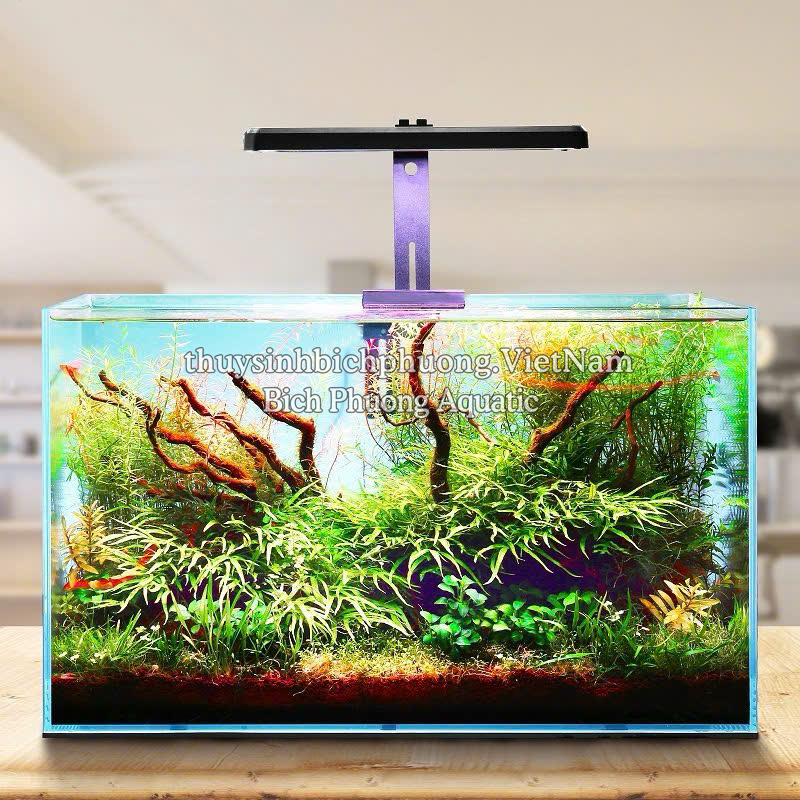 ĐÈN LED FUNLUX RGB 40