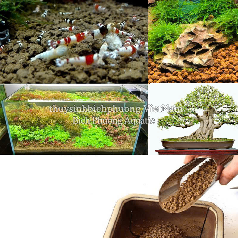 ĐẤT NỀN AKADAMA SOIL NHẬT BẢN
