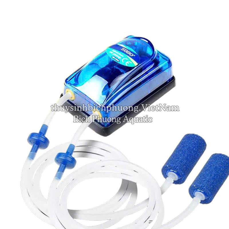 ĐÁ SỦI | CỤC SỦI | QUẢ SỦI OXY MINI