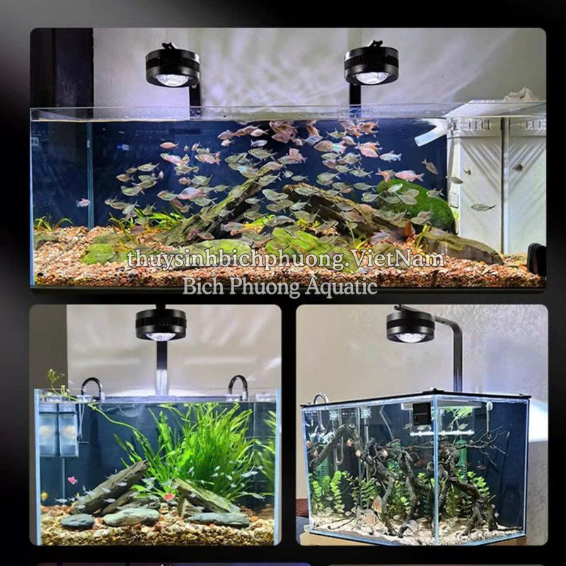 ĐÈN LED RỌI LOVE ECOLOGY WRGB  (APP)