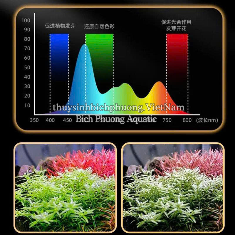 ĐÈN LED RỌI LOVE ECOLOGY WRGB  (APP)