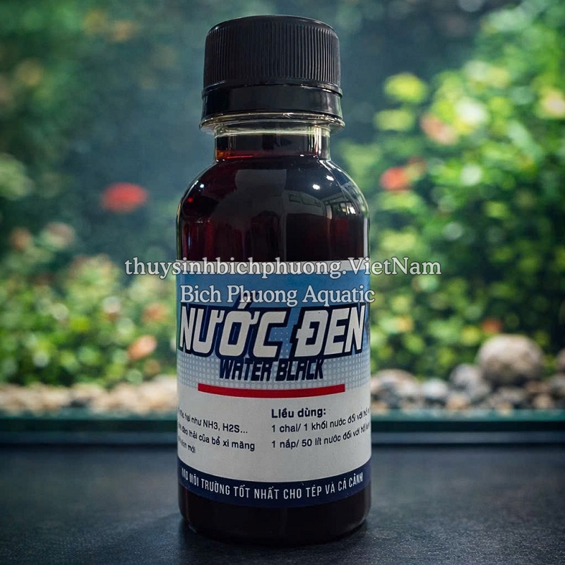 NƯỚC ĐEN BLACKWATER