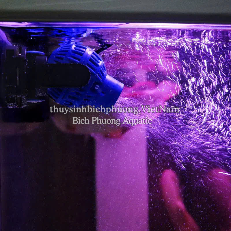 MÁY THỔI LUỒNG SUNSUN – TẠO DÒNG MẠNH, TĂNG OXY HIỆU QUẢ CHO HỒ CÁ