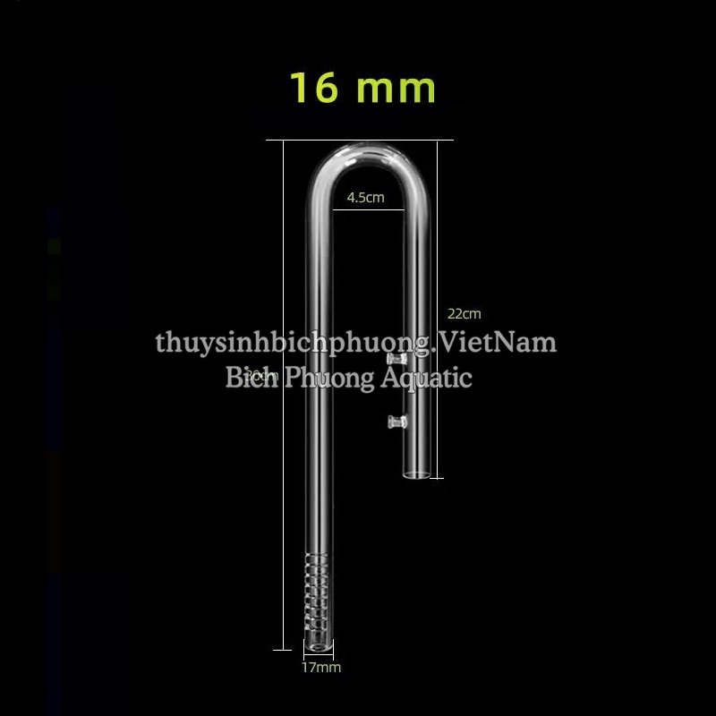 IN OUT THỦY TINH