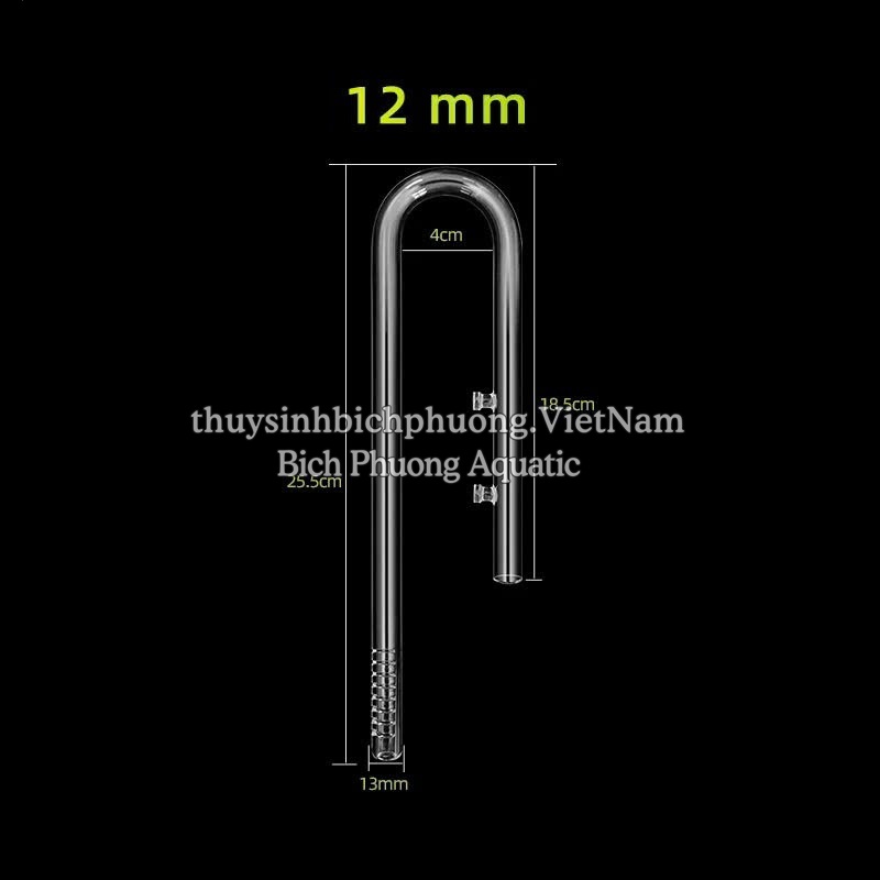 IN OUT THỦY TINH