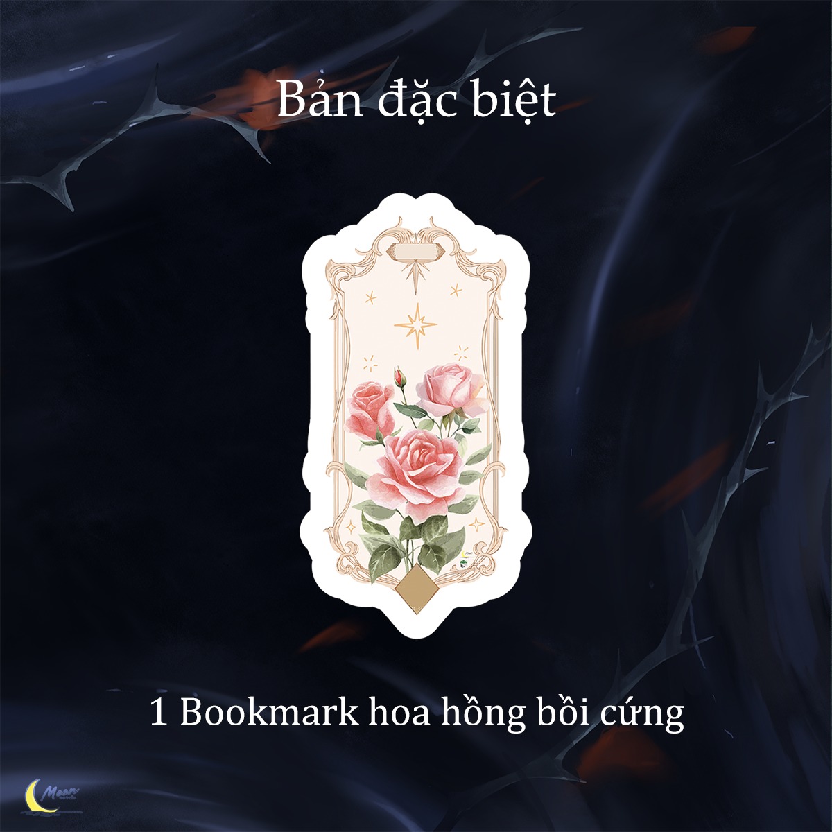 Tiểu thuyết MỸ NAM HOA HỒNG - TẬP 2 [BẢN ĐẶC BIỆT]