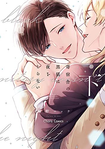 Kishukusha no kuro neko wa yoru o shiranai (shita)