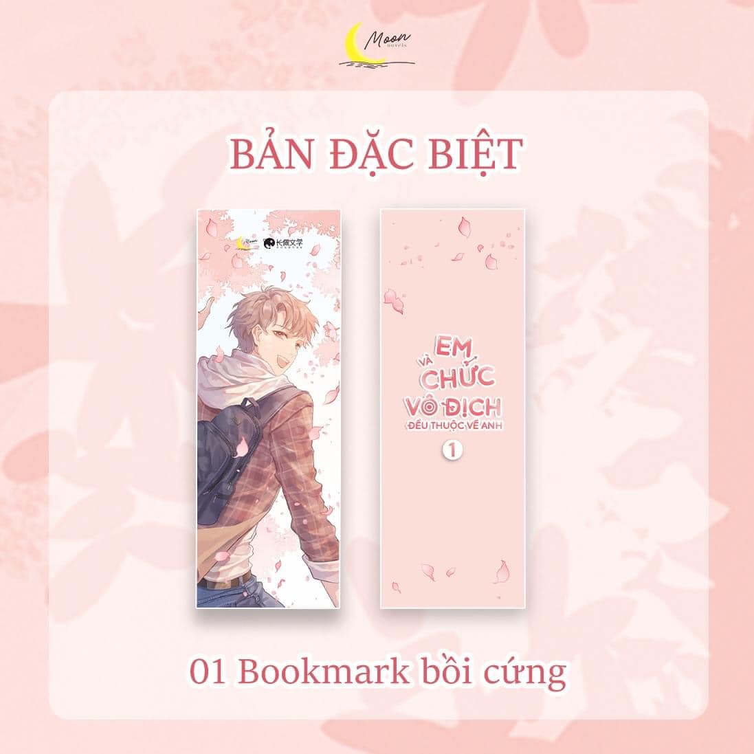 Tiểu thuyết EM VÀ CHỨC VÔ ĐỊCH ĐỀU THUỘC VỀ ANH - TẬP 1 - BẢN VIỆT [BẢN ĐẶC BIỆT]
