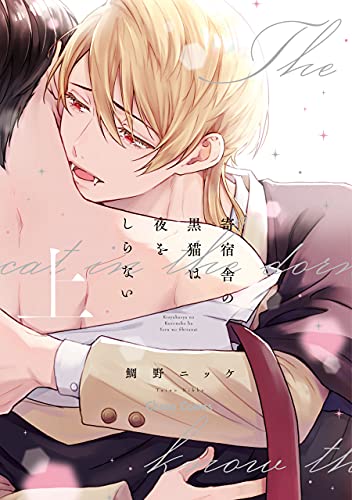 Kishukusha no kuro neko wa yoru o shiranai (ue)