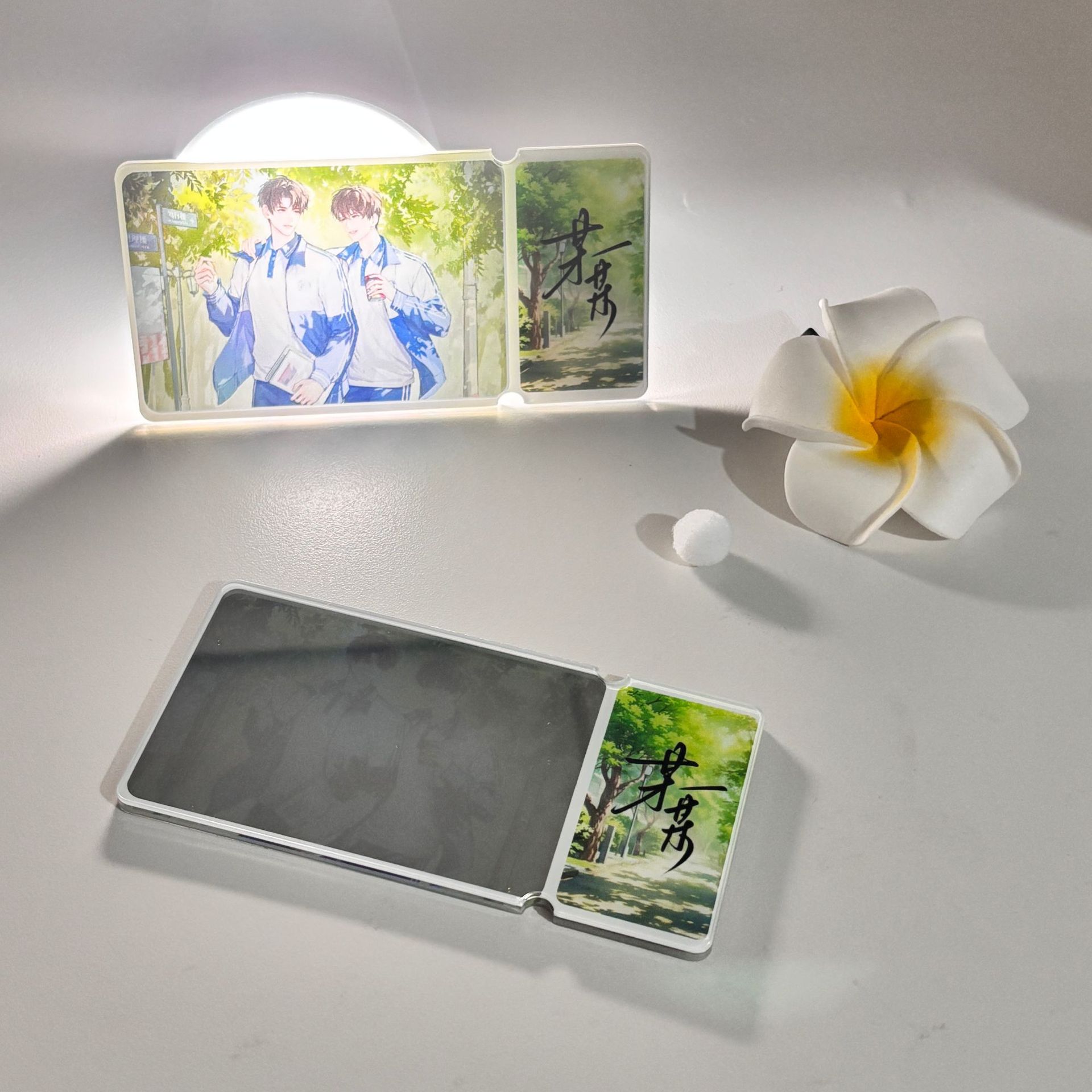 Arcylic chiếu sáng Mỗ Mỗ mẫu 1