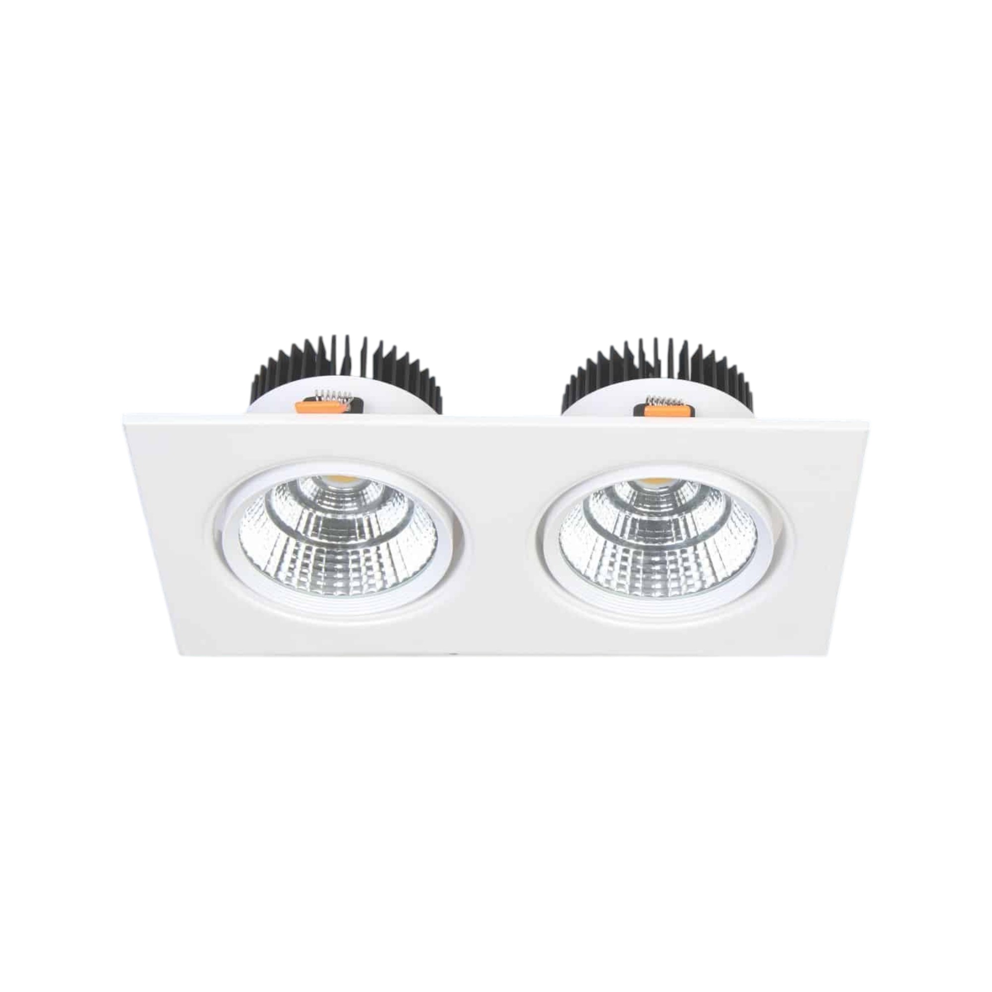Đèn LED downlight Đôi 12Wx2 Chỉnh Góc Anfaco AFC 318/2-12Wx2