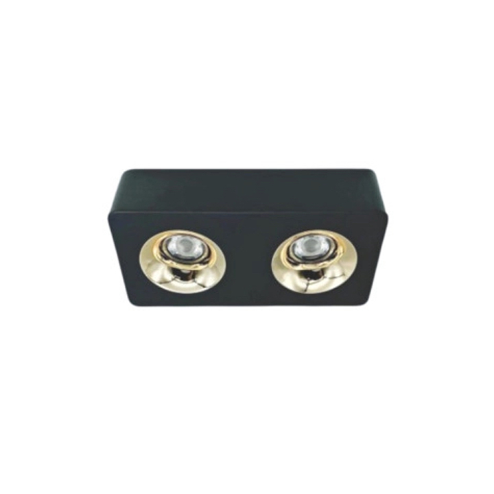 Đèn Led Ốp Trần Đôi ANFACO AFC 769/2 12Wx 2