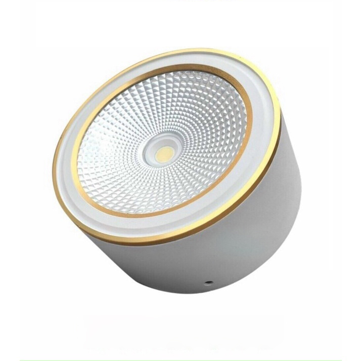 Đèn Ống Bơ Ốp Nổi 12W Viền Vàng Size 115*65mm