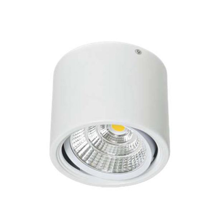 Đèn LED Lon Ốp Nổi Anfaco AFC 647 7W-12W Chiếu Điểm, Xoay Góc.