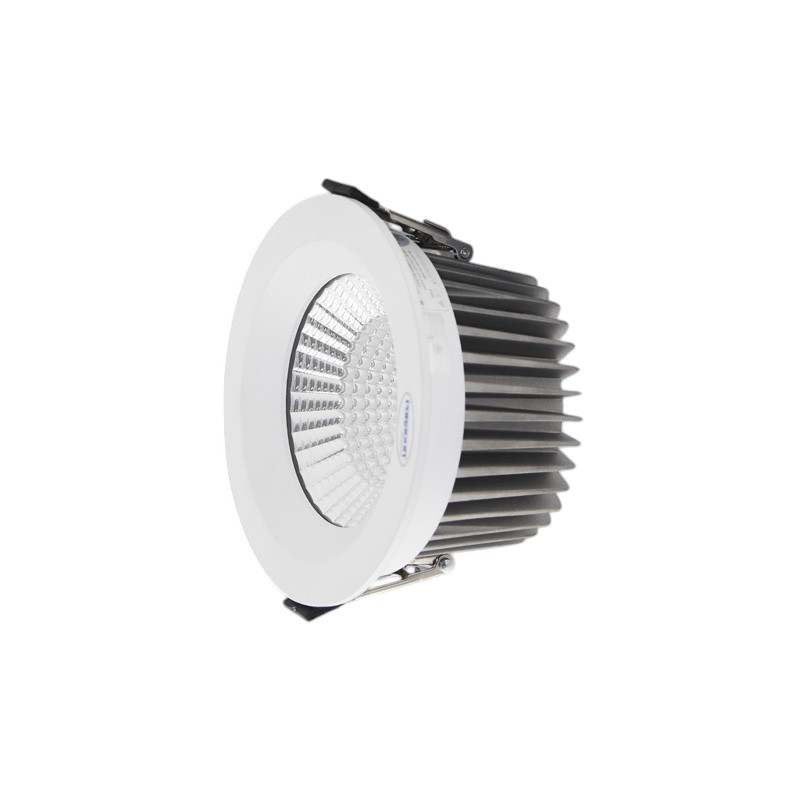 Đèn LED Downlight Chống Thấm 40W Paragon PRDAB220L40