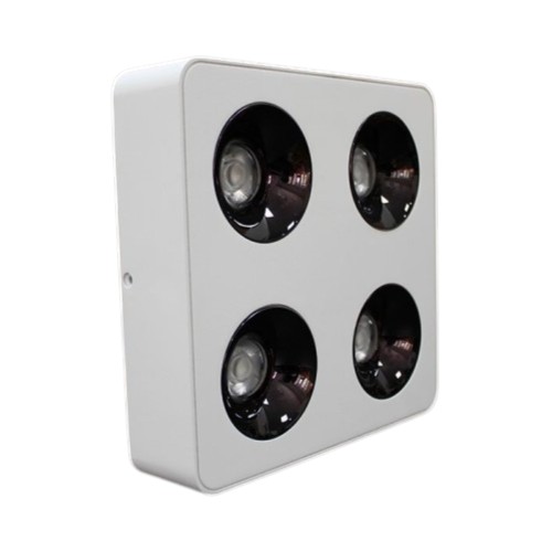 Đèn LED Lon Nổi Vuông 4 Mắt 7W*4-10W*4 mẫu LOD