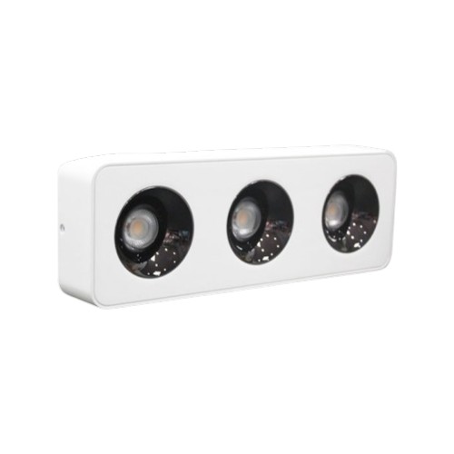 Đèn LED Lon Nổi Vuông 3 Mắt 7W*3-10W*3 mẫu LOD