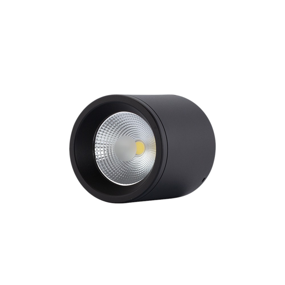 Đèn LED Downlight Nổi Trần 15W Rạng Đông - NT01 110/15W