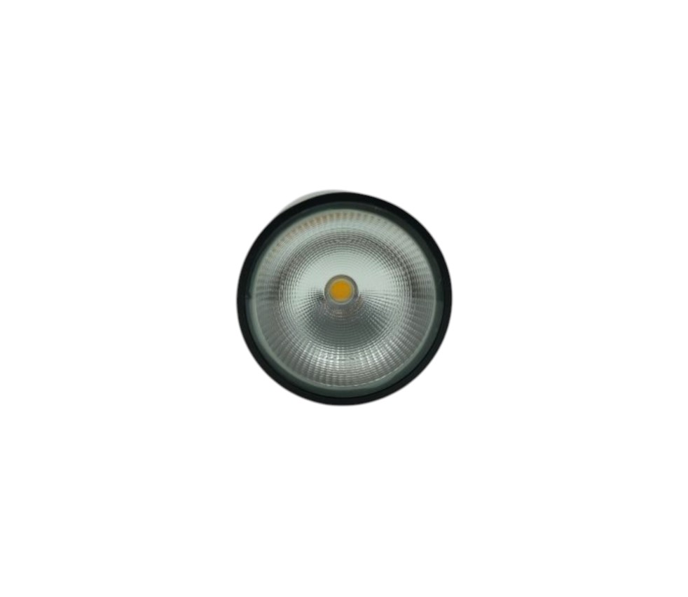 Đèn LED Downlight Gắn Nổi 10W-30W PARAGON Chống Nước IP65 Seri PSDRR