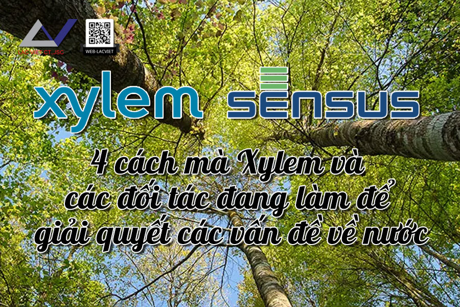 4 cách mà Xylem và các đối tác đang làm để giải quyết vấn đề về nước