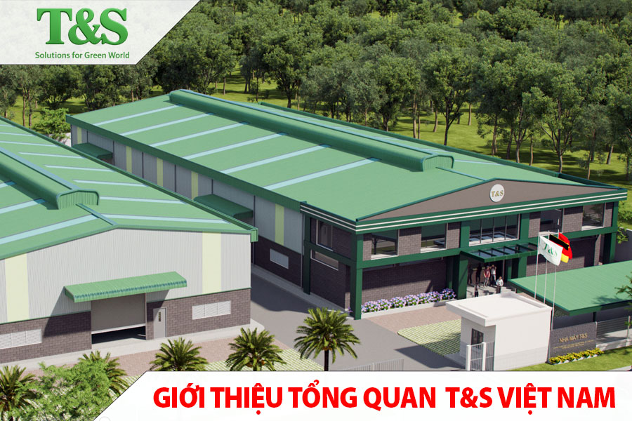 Giới thiệu tổng quan T&S Việt Nam