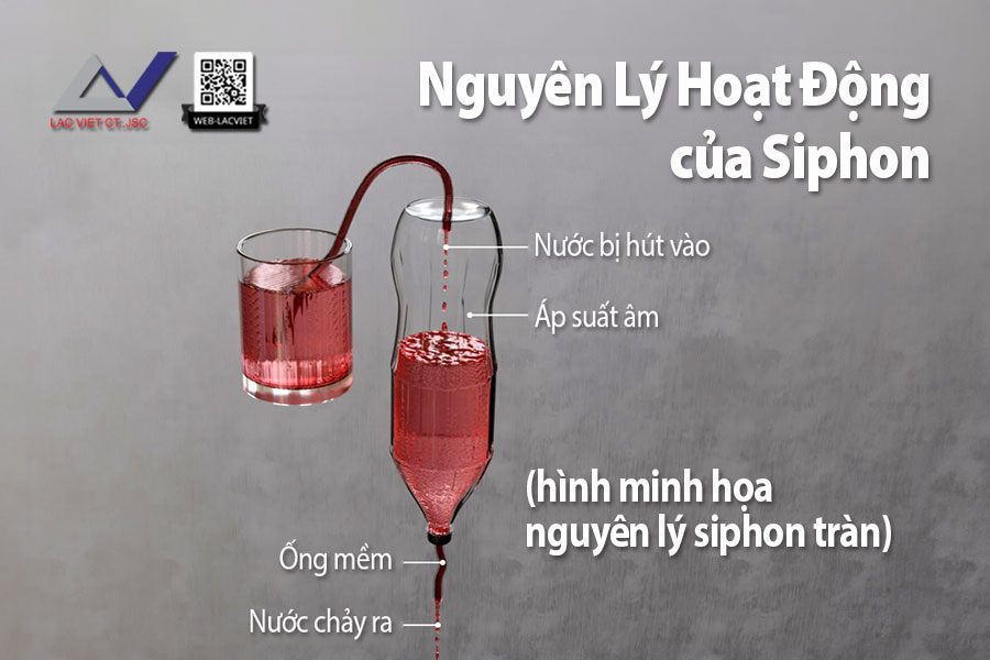 Nguyên Lý Hoạt Động của Siphon và Ứng Dụng Trong Thực Tế